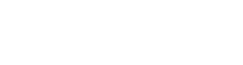 Fast Foward Shipping & Trading